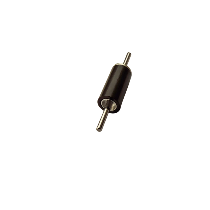 Micro Motor Rotors